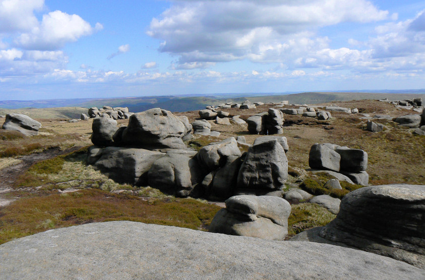 Woolpacks Woolpacks